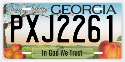 GA license plate PXJ2261