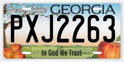 GA license plate PXJ2263