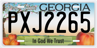 GA license plate PXJ2265