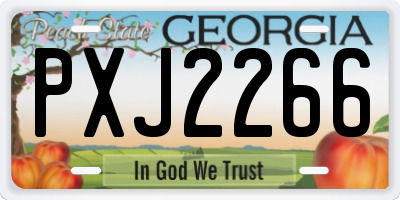 GA license plate PXJ2266