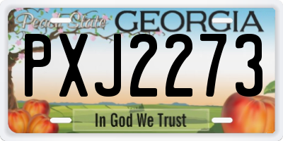 GA license plate PXJ2273