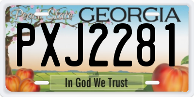 GA license plate PXJ2281
