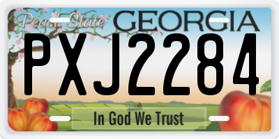 GA license plate PXJ2284