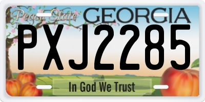 GA license plate PXJ2285