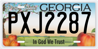 GA license plate PXJ2287