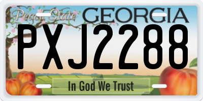 GA license plate PXJ2288