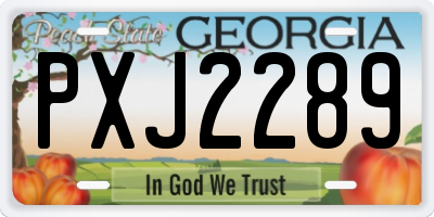 GA license plate PXJ2289