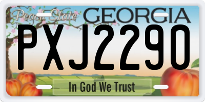 GA license plate PXJ2290