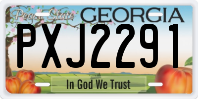 GA license plate PXJ2291