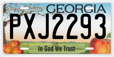 GA license plate PXJ2293