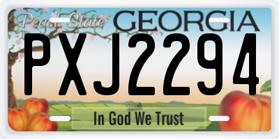 GA license plate PXJ2294