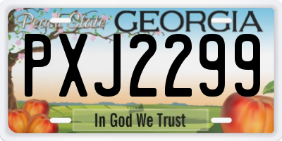 GA license plate PXJ2299