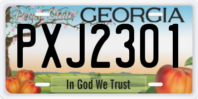 GA license plate PXJ2301