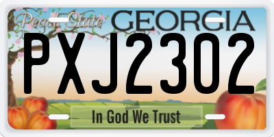 GA license plate PXJ2302