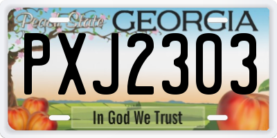GA license plate PXJ2303