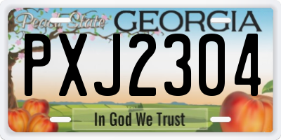GA license plate PXJ2304