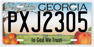 GA license plate PXJ2305