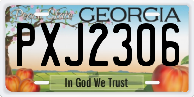 GA license plate PXJ2306