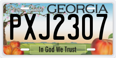 GA license plate PXJ2307