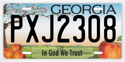 GA license plate PXJ2308