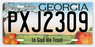 GA license plate PXJ2309