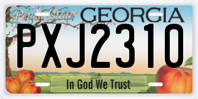 GA license plate PXJ2310