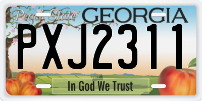 GA license plate PXJ2311