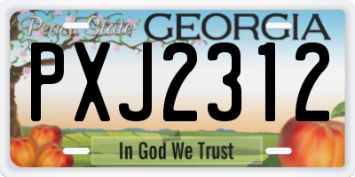 GA license plate PXJ2312