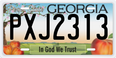 GA license plate PXJ2313