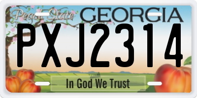 GA license plate PXJ2314
