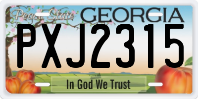 GA license plate PXJ2315