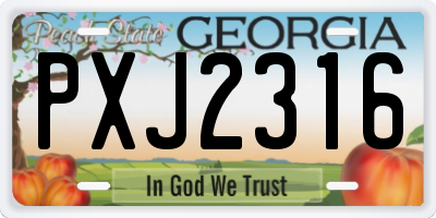 GA license plate PXJ2316