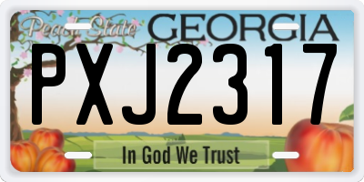 GA license plate PXJ2317