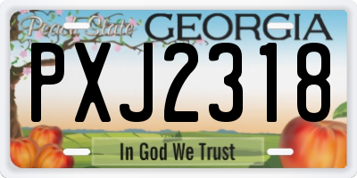 GA license plate PXJ2318