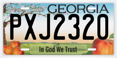 GA license plate PXJ2320
