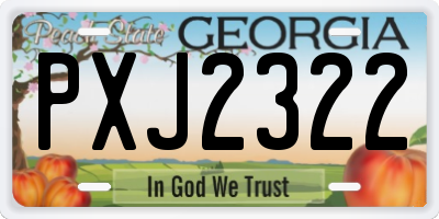 GA license plate PXJ2322