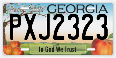 GA license plate PXJ2323