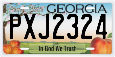 GA license plate PXJ2324