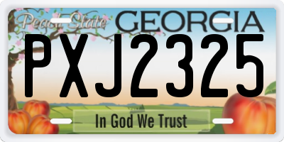 GA license plate PXJ2325