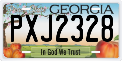 GA license plate PXJ2328
