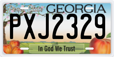 GA license plate PXJ2329