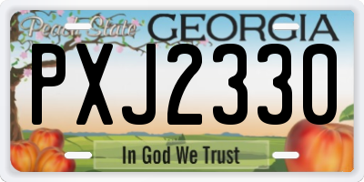 GA license plate PXJ2330