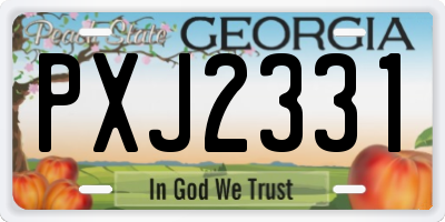 GA license plate PXJ2331
