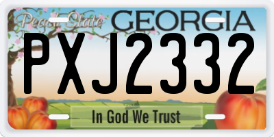 GA license plate PXJ2332
