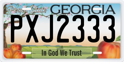 GA license plate PXJ2333