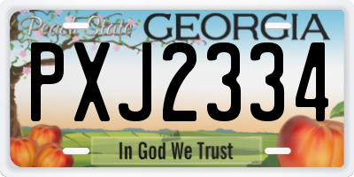 GA license plate PXJ2334