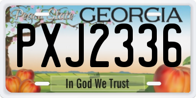 GA license plate PXJ2336