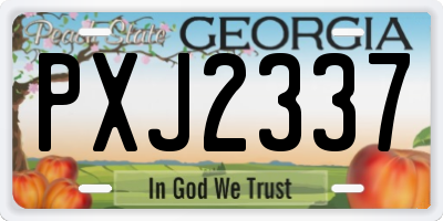 GA license plate PXJ2337