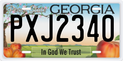 GA license plate PXJ2340
