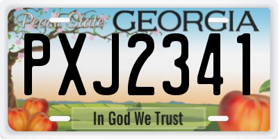 GA license plate PXJ2341